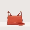 Coccinelle Bishop