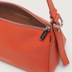 Coccinelle Bishop