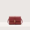 Coccinelle Dorian